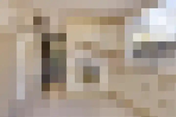 Peellaan 89 Son en Breugel thumbnail 8
