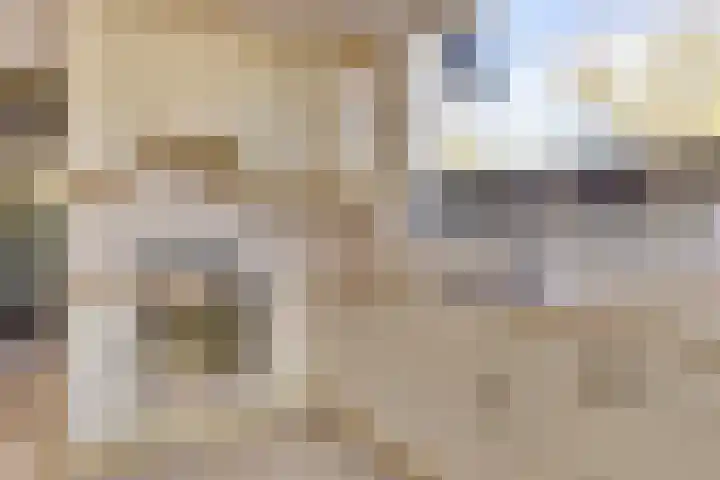 Peellaan 89 Son en Breugel thumbnail 9