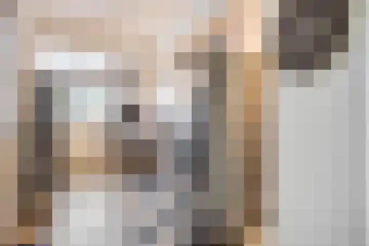 Peellaan 97 Oss thumbnail 10