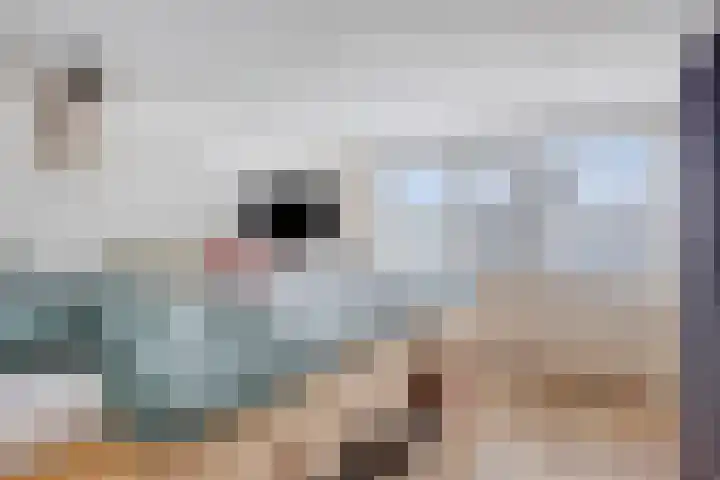 Peellaan 97 Oss thumbnail 16