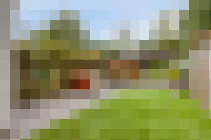 Peellaan 97 Oss foto 2