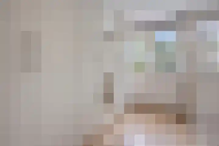 Peellaan 97 Oss thumbnail 21