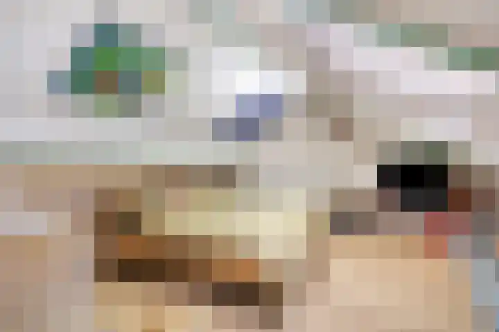 Peellaan 97 Oss thumbnail 23