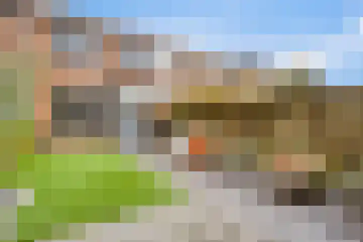 Peellaan 97 Oss thumbnail 25
