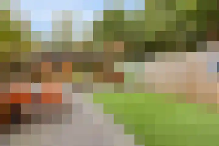 Peellaan 97 Oss thumbnail 26