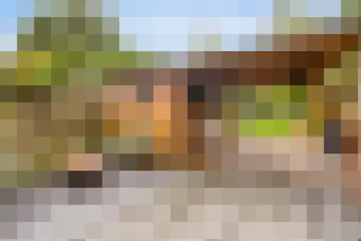 Peellaan 97 Oss thumbnail 27