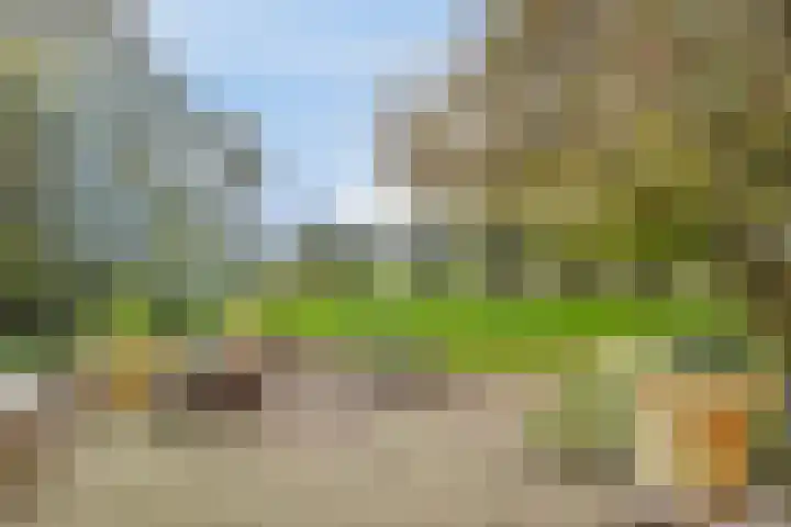 Peellaan 97 Oss thumbnail 28