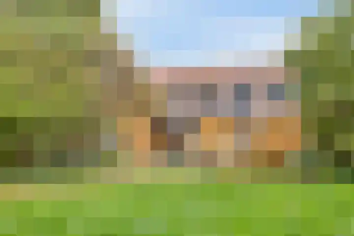 Peellaan 97 Oss thumbnail 30