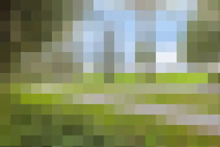 Peellaan 97 Oss thumbnail 35
