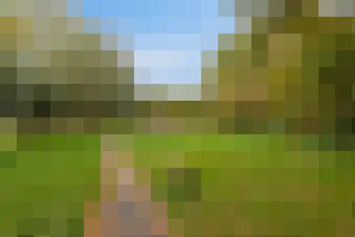 Peellaan 97 Oss thumbnail 37