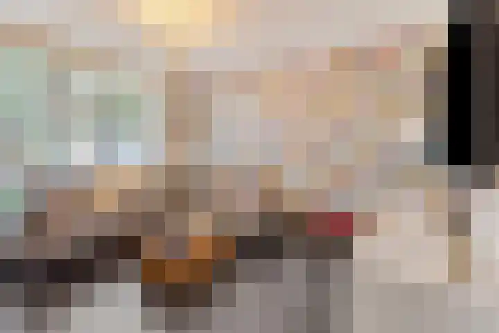 Peellaan 97 Oss thumbnail 4