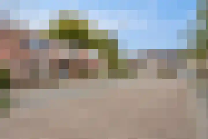 Peellaan 97 Oss thumbnail 40