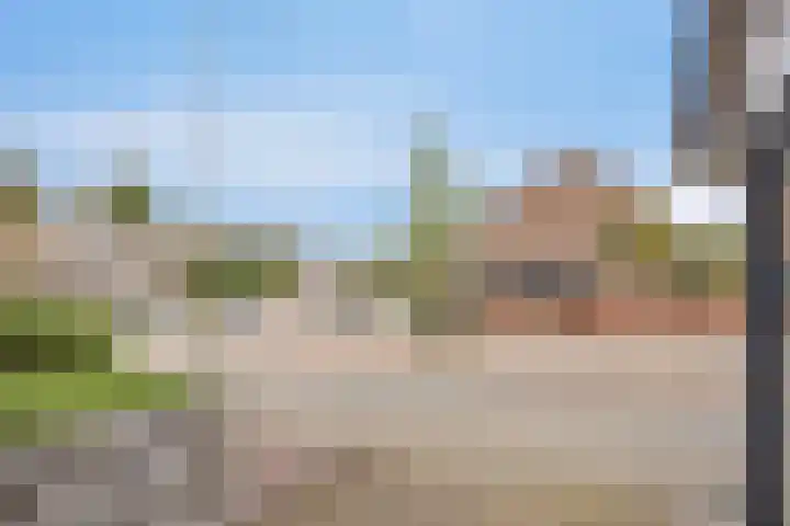 Peellaan 97 Oss thumbnail 41
