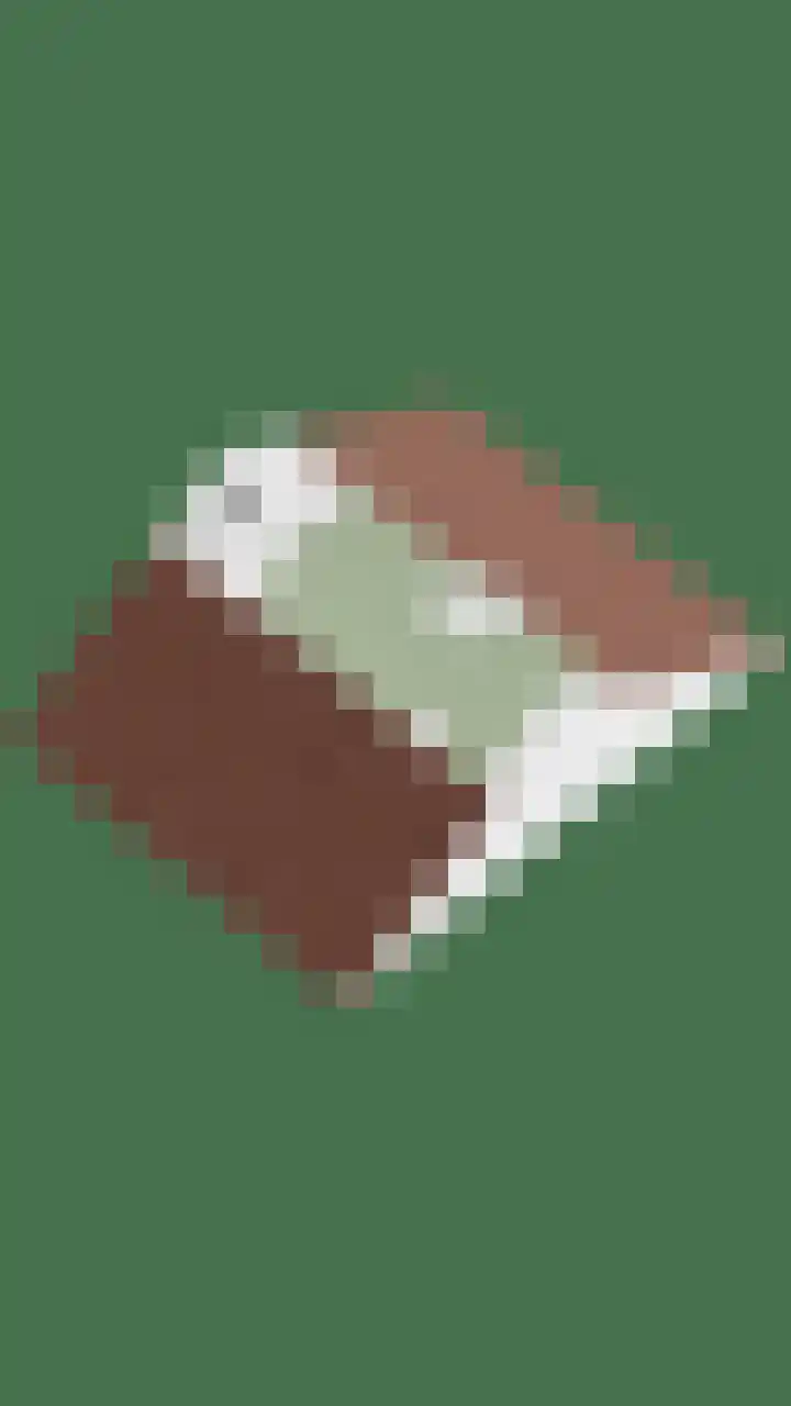 Peellaan 97 Oss thumbnail 49
