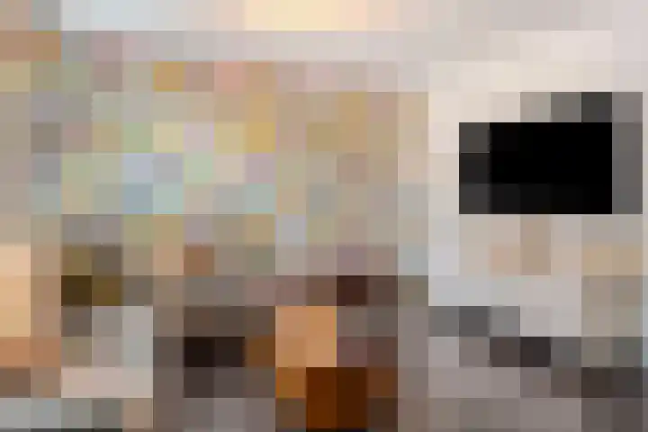 Peellaan 97 Oss thumbnail 5