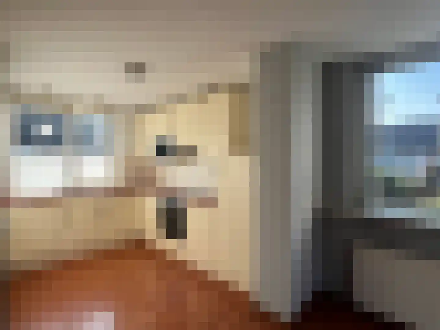 Peelland 1 Purmerend thumbnail 12