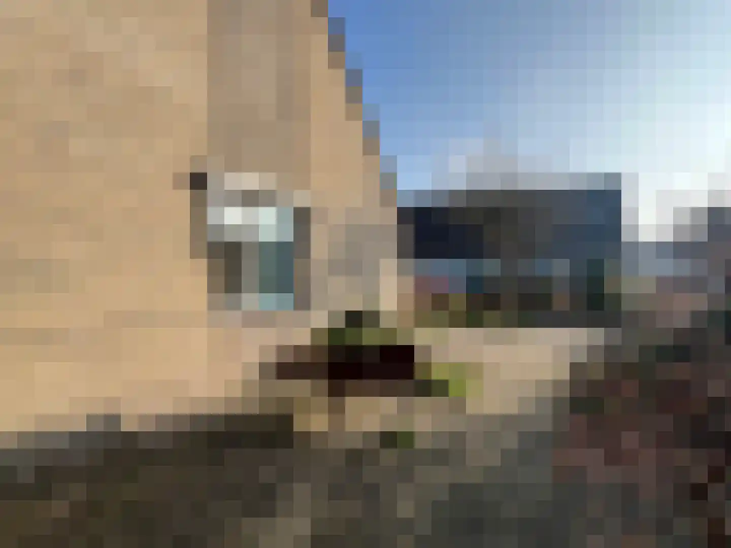 Peelland 1 Purmerend thumbnail 24