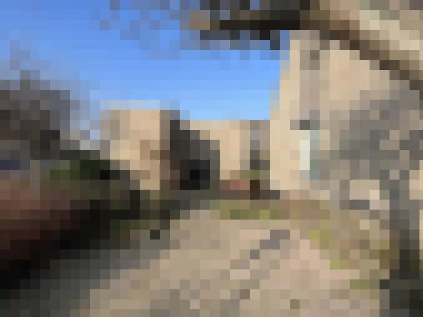 Peelland 1 Purmerend thumbnail 29