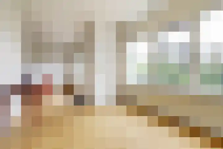 Peelland 17 Waalwijk thumbnail 11