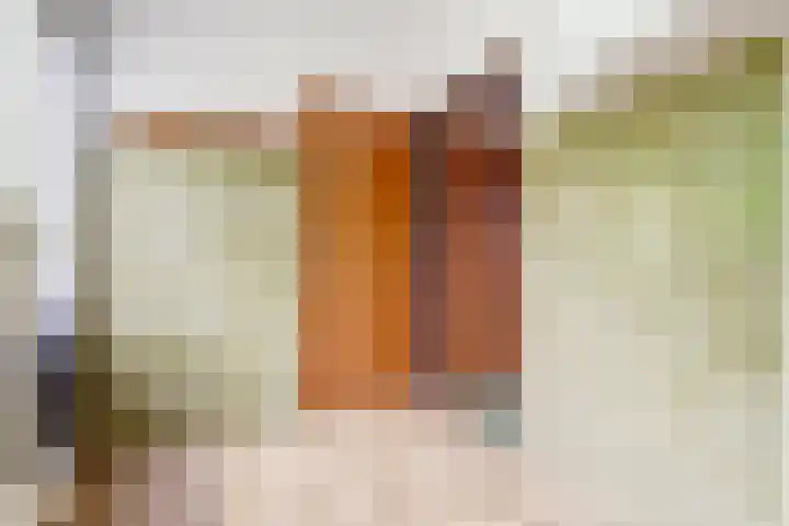 Peelland 17 Waalwijk thumbnail 18