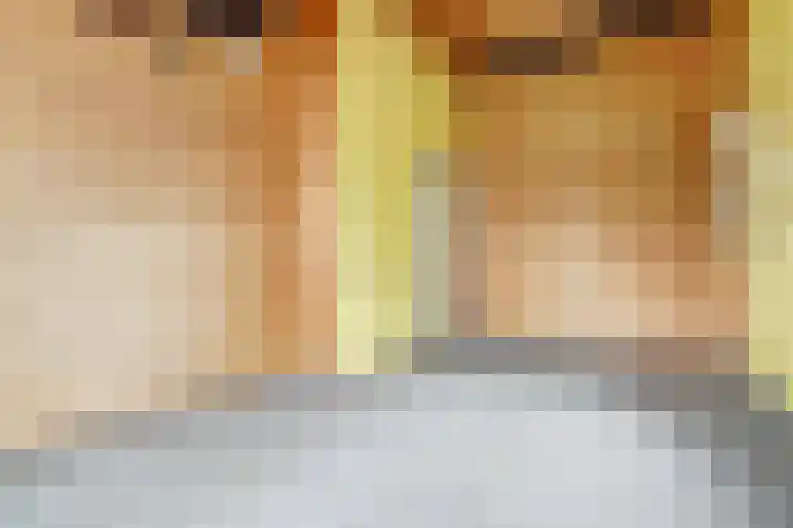 Peelland 17 Waalwijk thumbnail 35