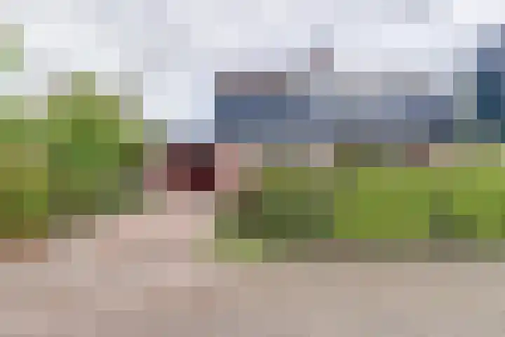 Peelland 17 Waalwijk thumbnail 4