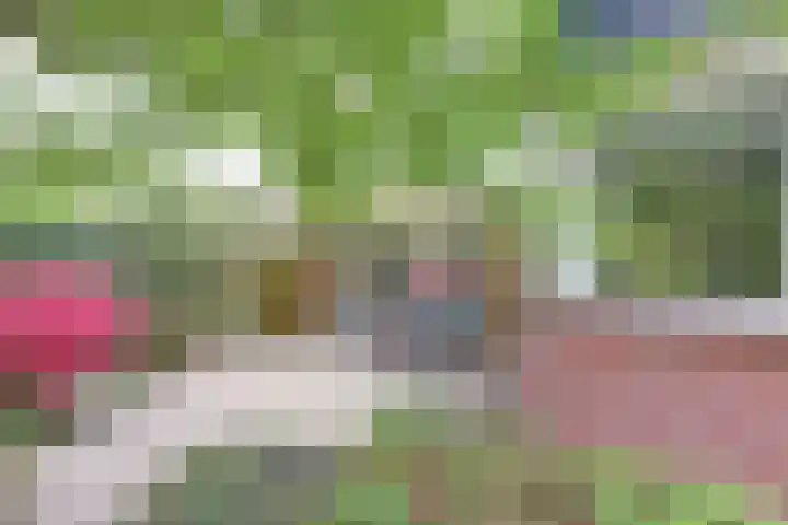 Peelland 17 Waalwijk thumbnail 41