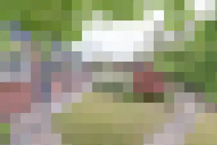 Peelland 17 Waalwijk thumbnail 42