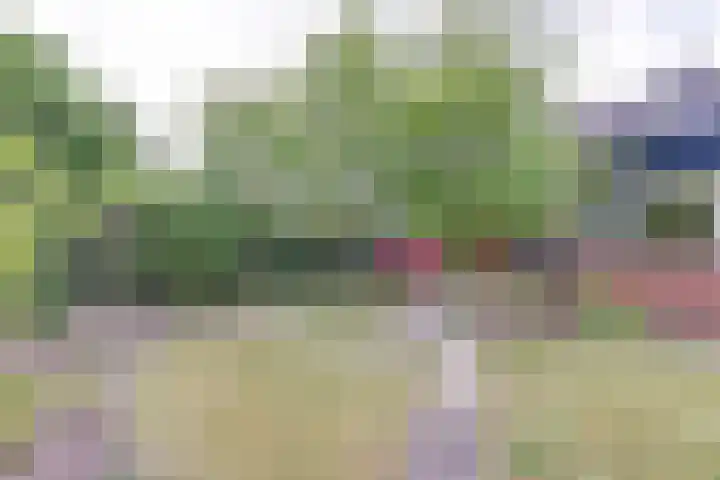 Peelland 17 Waalwijk thumbnail 43