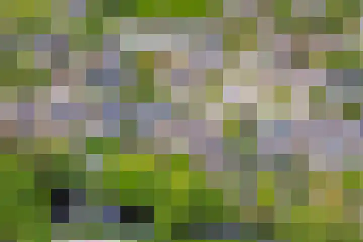 Peelland 17 Waalwijk thumbnail 47