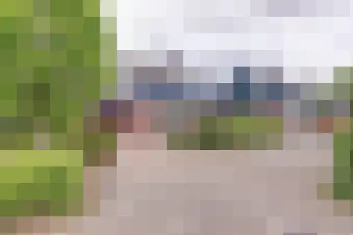 Peelland 17 Waalwijk thumbnail 5