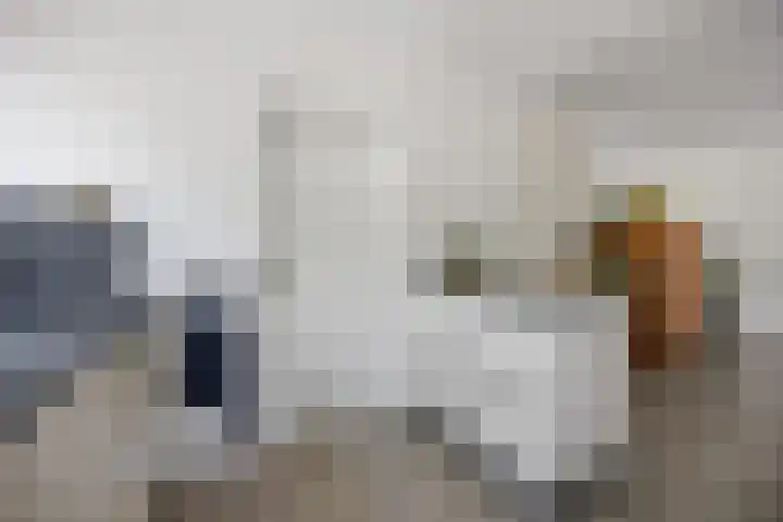 Peelland 34 Waalwijk thumbnail 18
