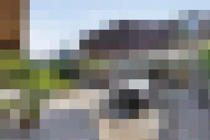 Peelland 34 Waalwijk thumbnail 36