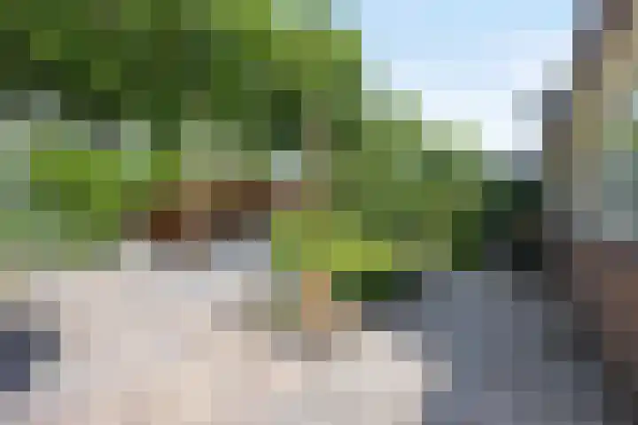Peelland 34 Waalwijk thumbnail 4