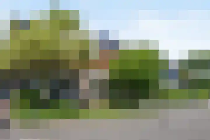 Peelland 34 Waalwijk thumbnail 44