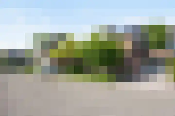 Peelland 34 Waalwijk thumbnail 45