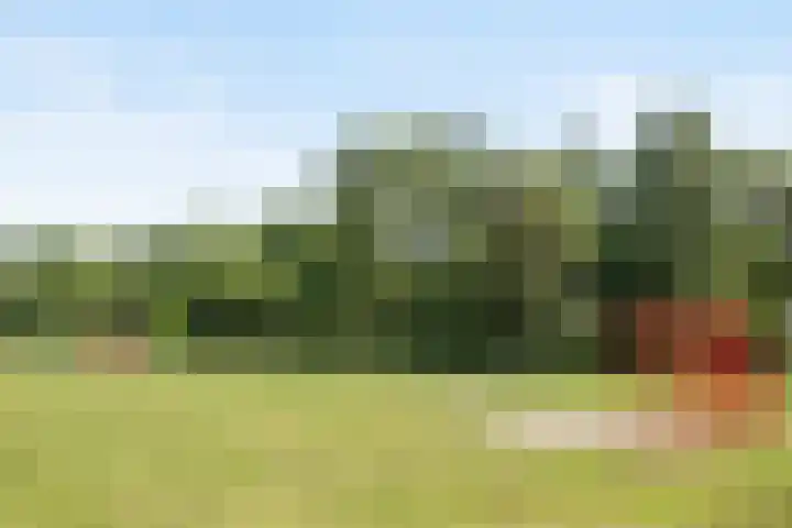 Peelland 34 Waalwijk thumbnail 46