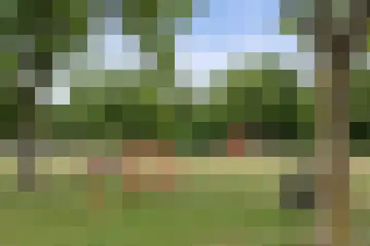 Peelland 34 Waalwijk thumbnail 47