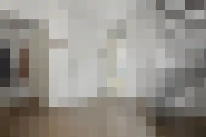 Peelland 34 Waalwijk thumbnail 7