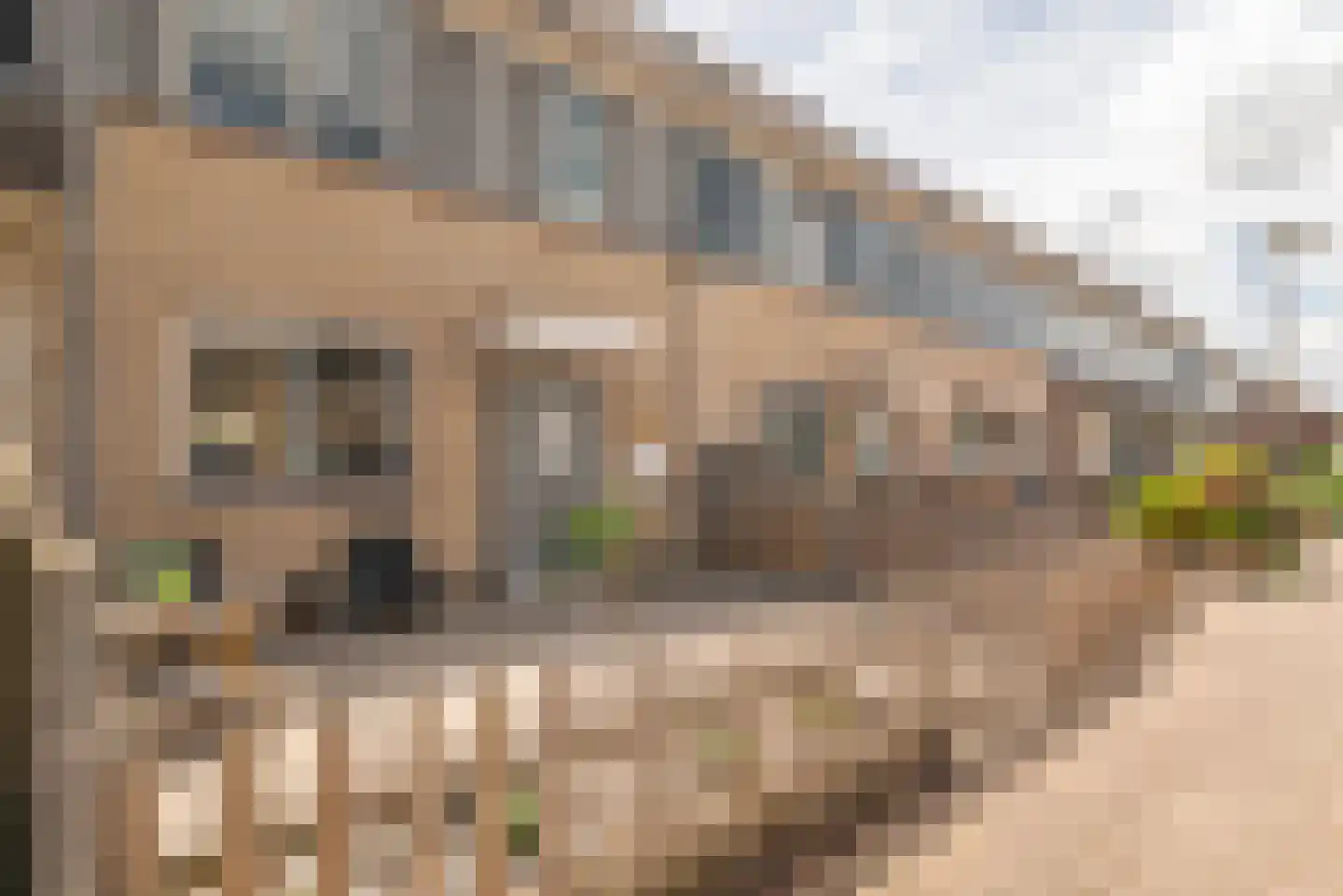 Peelland 42 Purmerend thumbnail 20