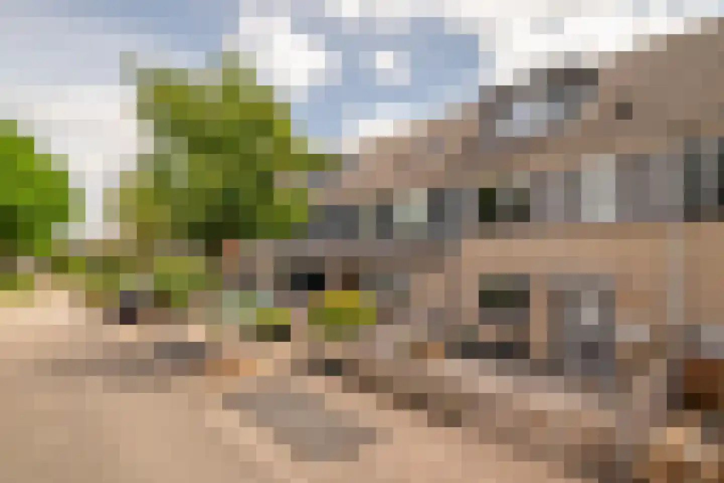 Peelland 42 Purmerend thumbnail 21