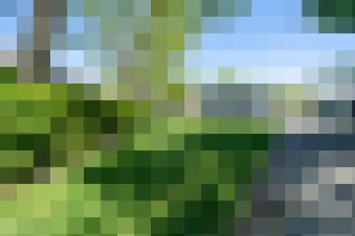 Peelland 49 Purmerend thumbnail 17