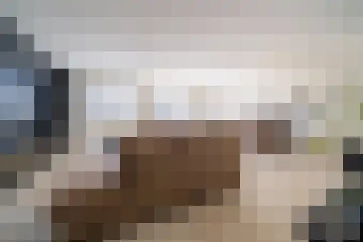 Peelland 49 Purmerend thumbnail 23