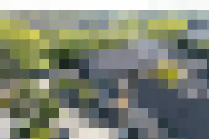 Peelland 49 Purmerend thumbnail 4