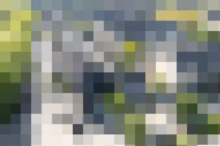Peelland 49 Purmerend thumbnail 6