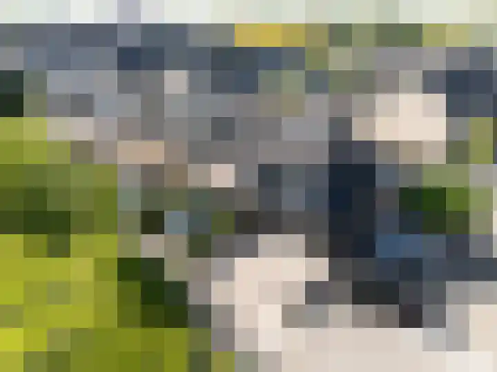 Peelland 49 Purmerend thumbnail 89