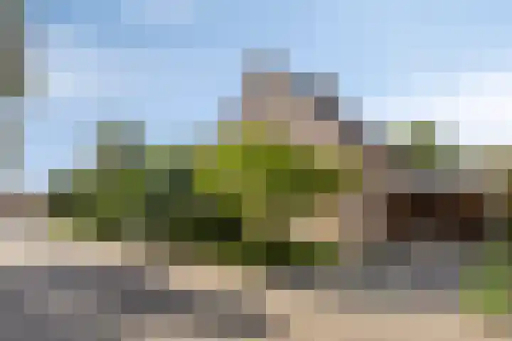 Peelland 5 Riel thumbnail 10