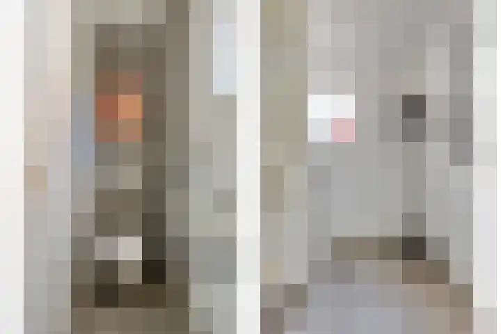 Peelland 5 Riel thumbnail 12