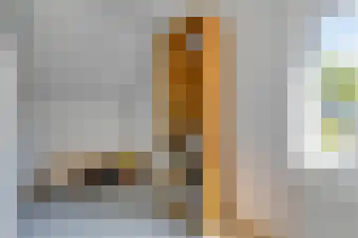 Peelland 5 Riel thumbnail 33