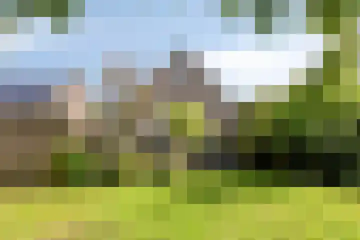 Peelland 5 Riel thumbnail 39